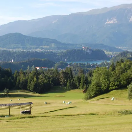 Kupljenik 12 A, Bled * Bohinjska Bela