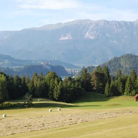 Brvnara Kupljenik 12 A, Bled