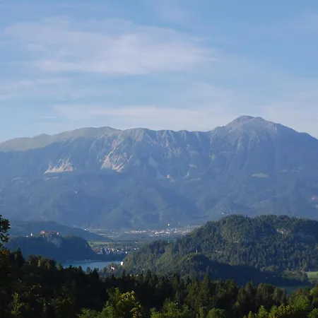 Kupljenik 12 A, Bled *