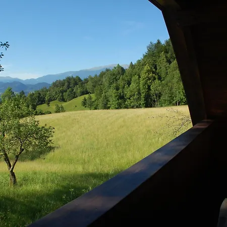 Kupljenik 12 A, Bled