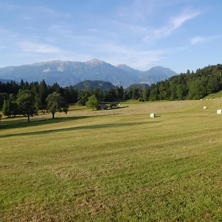 Kupljenik 12 A, Bled Alpehytte Bohinjska Bela