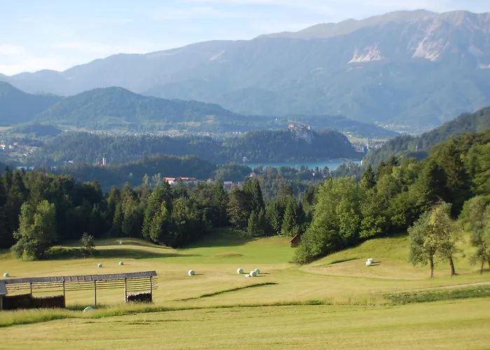 Kupljenik 12 A, Bled * Bohinjska Bela