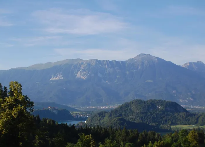 Kupljenik 12 A, Bled *