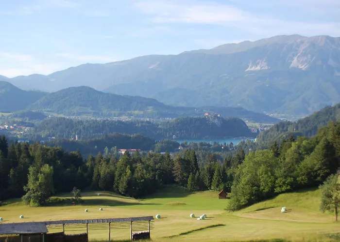 Kupljenik 12 A, Bled